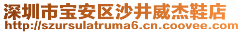 深圳市寶安區(qū)沙井威杰鞋店