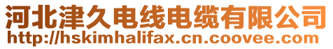 河北津久電線電纜有限公司