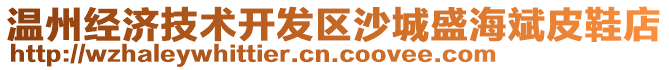 溫州經(jīng)濟(jì)技術(shù)開發(fā)區(qū)沙城盛海斌皮鞋店