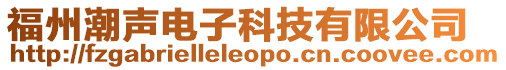 福州潮聲電子科技有限公司
