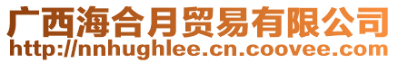 廣西海合月貿(mào)易有限公司