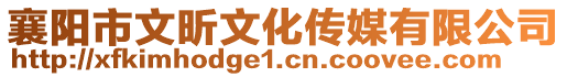 襄陽(yáng)市文昕文化傳媒有限公司