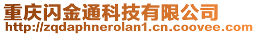 重慶閃金通科技有限公司