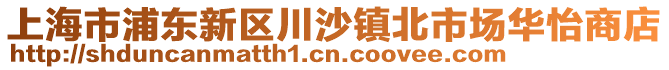 上海市浦東新區(qū)川沙鎮(zhèn)北市場華怡商店