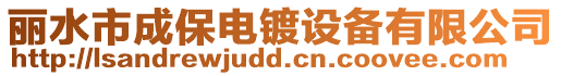 麗水市成保電鍍?cè)O(shè)備有限公司