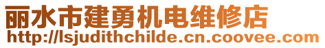 麗水市建勇機(jī)電維修店