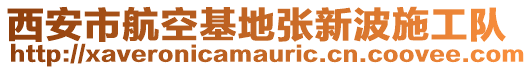 西安市航空基地張新波施工隊