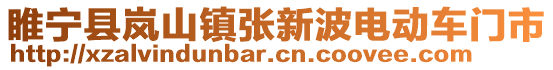 睢寧縣嵐山鎮(zhèn)張新波電動車門市