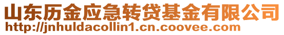 山東歷金應急轉貸基金有限公司