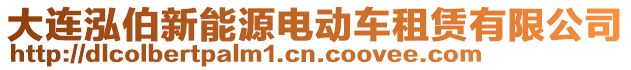 大連泓伯新能源電動車租賃有限公司