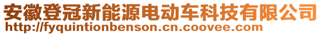 安徽登冠新能源電動車科技有限公司