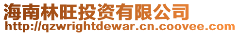 海南林旺投資有限公司