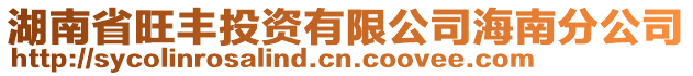 湖南省旺豐投資有限公司海南分公司