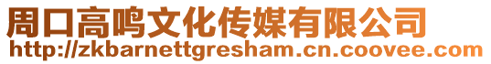 周口高鳴文化傳媒有限公司