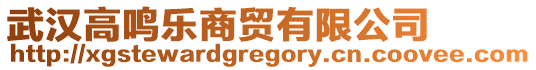 武漢高鳴樂商貿有限公司