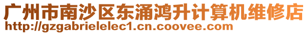 廣州市南沙區(qū)東涌鴻升計算機維修店