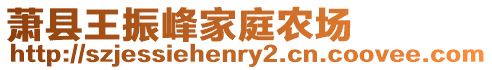 蕭縣王振峰家庭農場