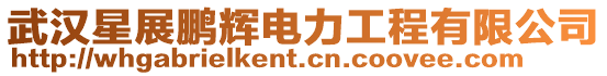 武漢星展鵬輝電力工程有限公司