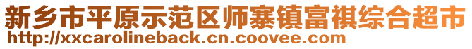 新鄉(xiāng)市平原示范區(qū)師寨鎮(zhèn)富祺綜合超市