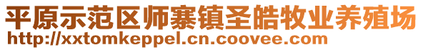 平原示范區(qū)師寨鎮(zhèn)圣皓牧業(yè)養(yǎng)殖場