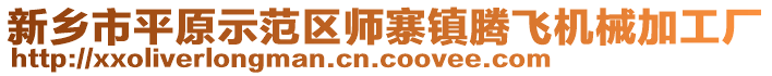 新鄉(xiāng)市平原示范區(qū)師寨鎮(zhèn)騰飛機械加工廠