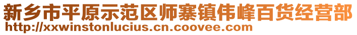 新鄉(xiāng)市平原示范區(qū)師寨鎮(zhèn)偉峰百貨經(jīng)營部