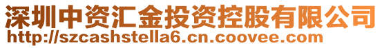 深圳中資匯金投資控股有限公司