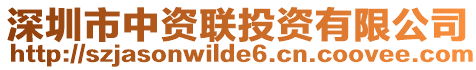 深圳市中資聯(lián)投資有限公司