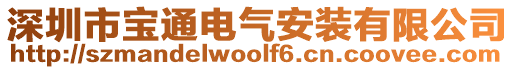 深圳市寶通電氣安裝有限公司