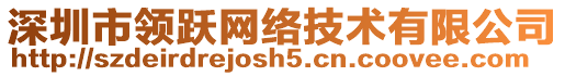 深圳市領(lǐng)躍網(wǎng)絡(luò)技術(shù)有限公司