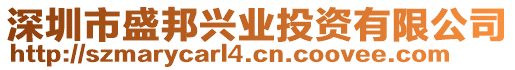 深圳市盛邦興業(yè)投資有限公司