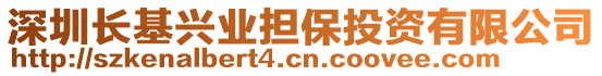 深圳長基興業(yè)擔(dān)保投資有限公司