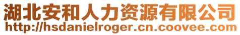 湖北安和人力資源有限公司