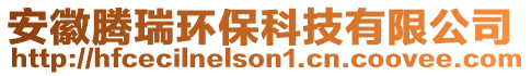 安徽騰瑞環保科技有限公司