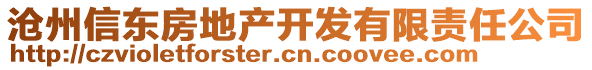 滄州信東房地產(chǎn)開發(fā)有限責(zé)任公司