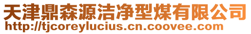 天津鼎森源潔凈型煤有限公司