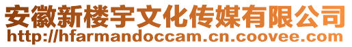 安徽新樓宇文化傳媒有限公司