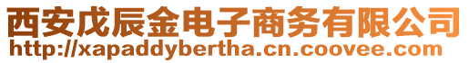 西安戊辰金電子商務(wù)有限公司