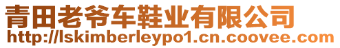 青田老爺車鞋業(yè)有限公司