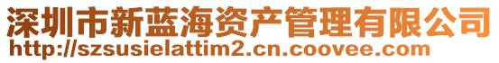 深圳市新藍(lán)海資產(chǎn)管理有限公司