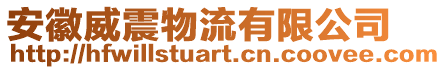安徽威震物流有限公司