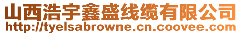 山西浩宇鑫盛線纜有限公司