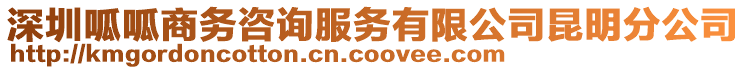 深圳呱呱商務咨詢服務有限公司昆明分公司