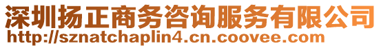 深圳揚正商務咨詢服務有限公司