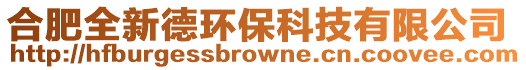 合肥全新德環(huán)保科技有限公司