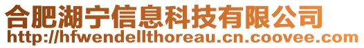 合肥湖寧信息科技有限公司