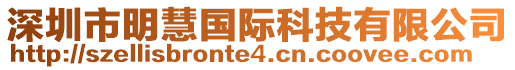 深圳市明慧國(guó)際科技有限公司