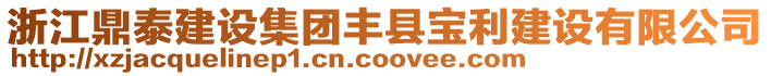 浙江鼎泰建設集團豐縣寶利建設有限公司