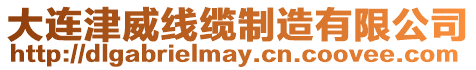 大連津威線纜制造有限公司