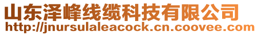 山東澤峰線纜科技有限公司